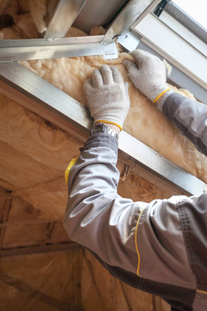 Types of Insulation We Offer in Cactus, TX