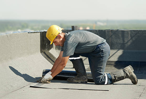 Best Residential Insulation in Cactus, TX