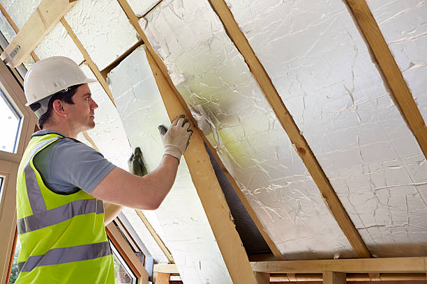 Best Eco-Friendly Insulation in Cactus, TX